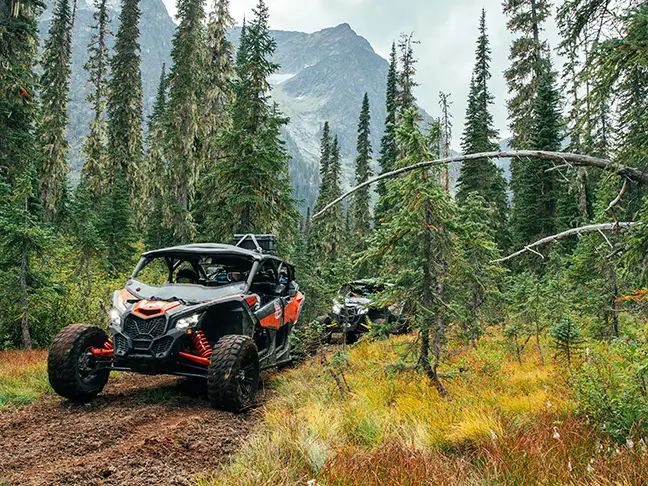 Two Can-Am side-by-sides driving on a forest trail in Revelstoke.