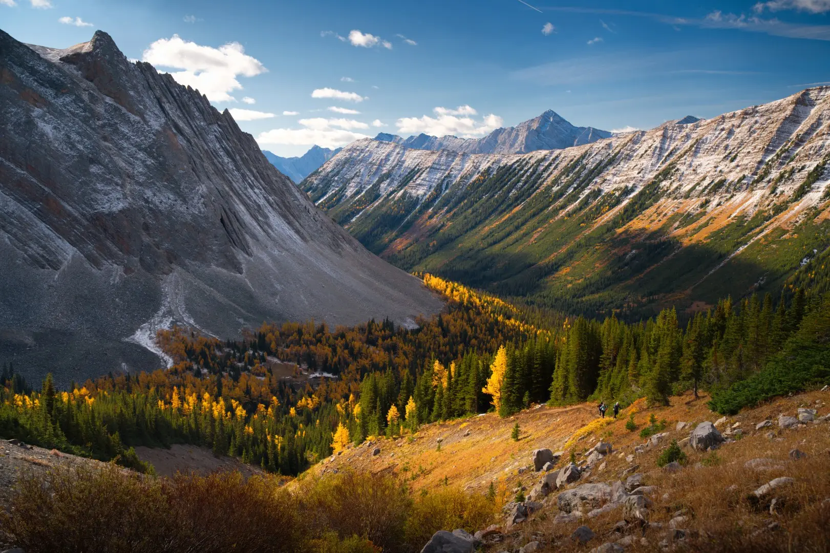 Larch Hikes