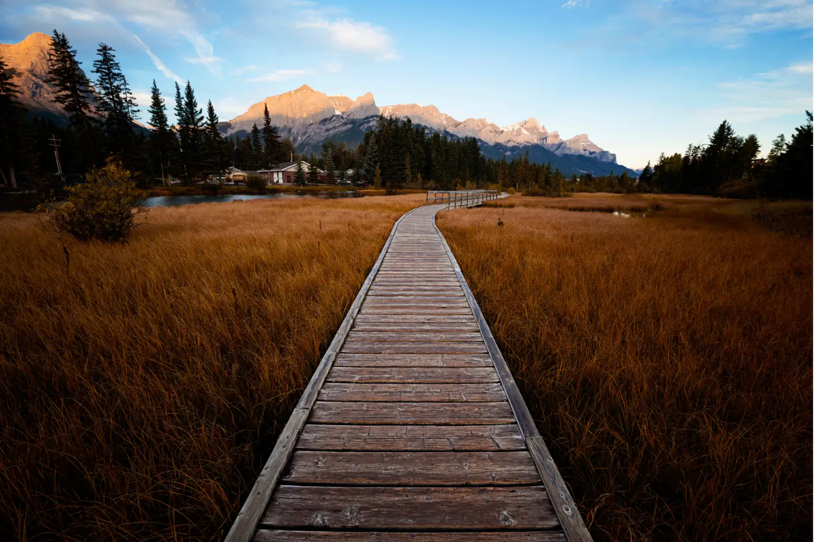 Wooden boardwalk through golden marshland towards Canmore mountains at sunset.