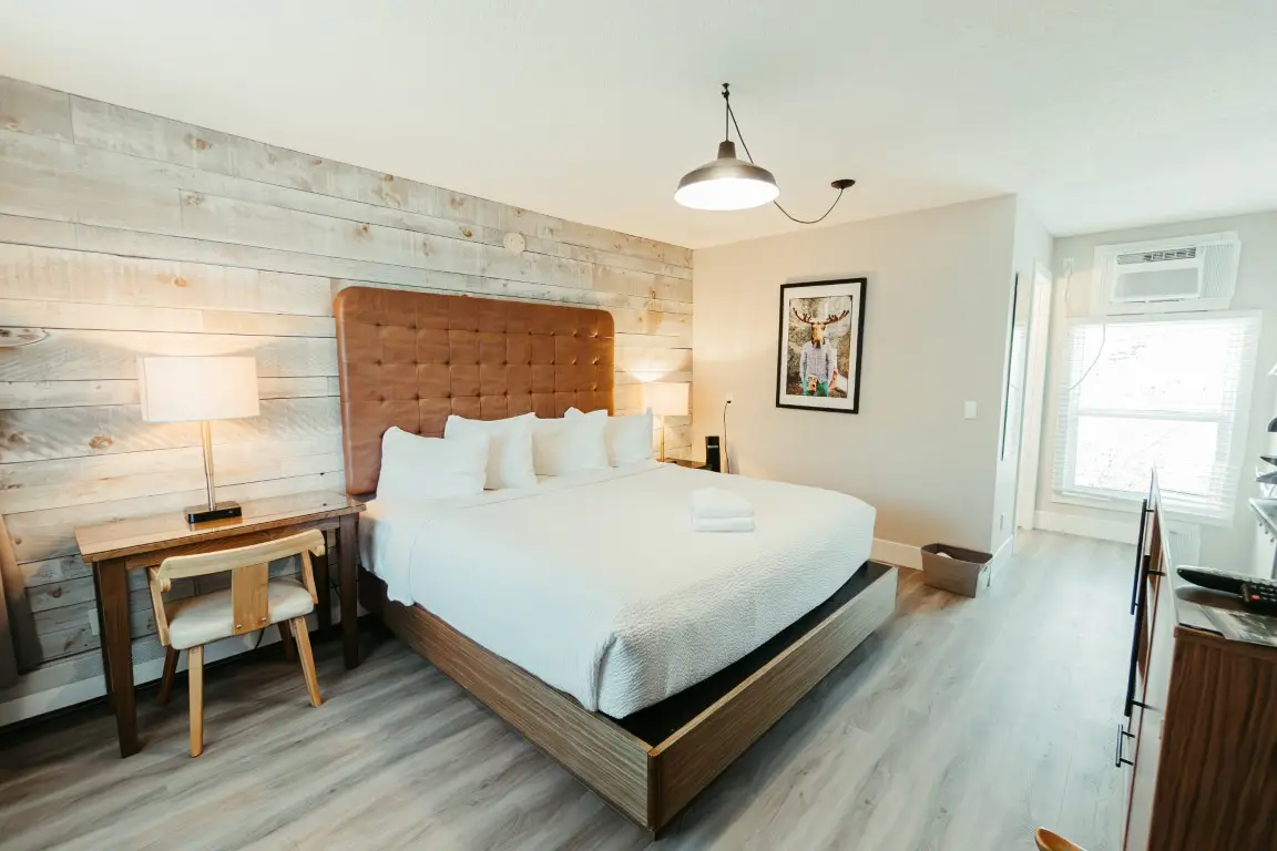 Canmore King Room at Basecamp Lamphouse hotel, dog-friendly accommodations.