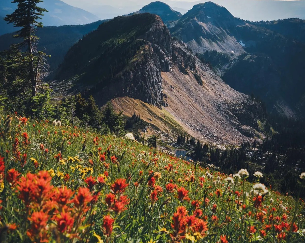 Wildflower meadows and mountain peaks on a best wildflower hike in BC.