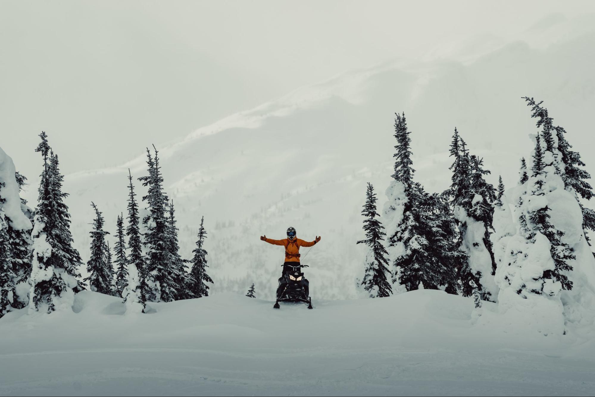 Alpine Snowmobiling